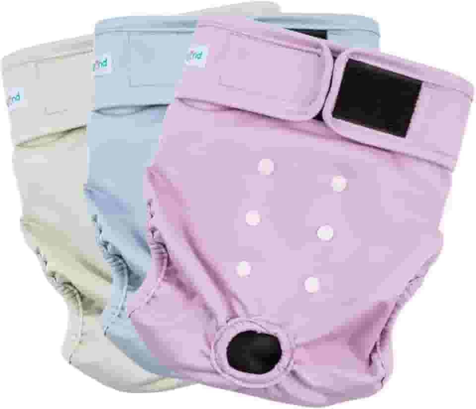 Paw Legend Fraldas laváveis reutilizáveis para cães fêmeas para aquecer fraldas para cachorros fêmeas (pacote com 3, PP)