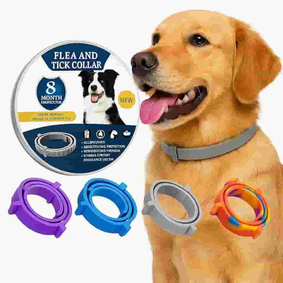 Coleira Anti Pulga Leishmaniose Carrapato Mosquito Cão Gato 62cm (Lilás, 62cm)