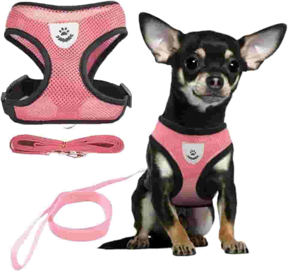 Coleira Peitoral Anti Puxão com Guia para Cães e Gatos – Ideal para Filhotes, Pinscher, Shi Tzu e Raças de Porte Pequeno a Médio – NEXUS MARKET (GG, ROSA)