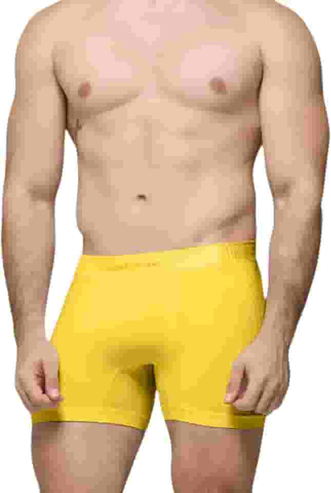Cueca Boxer Sem Costura Selene Especial Final De Ano Cores Box Masculina Adulto