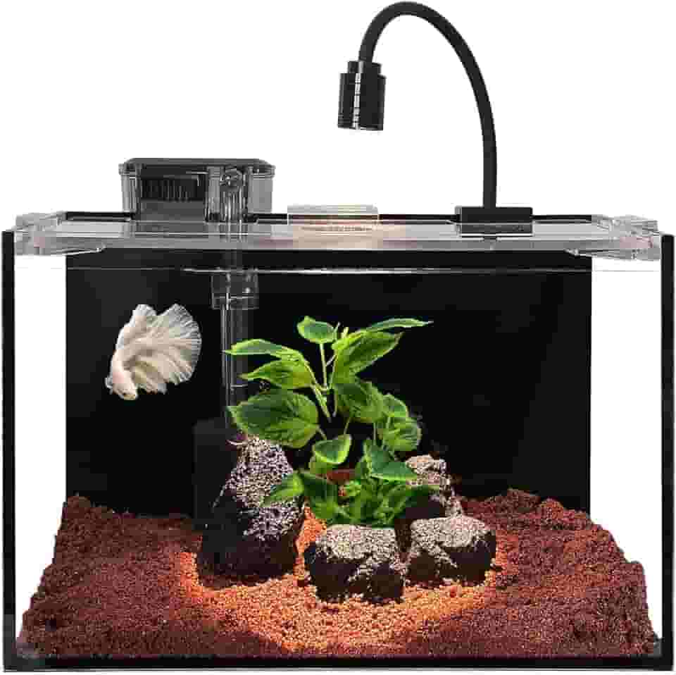Nano tanque de peixes de 3 galões com filtro, luz LED, cascalho, pedra, aquascape, aquário para iniciantes, tanque de peixes Betta (30 x 18 x 20 cm, 11 L)