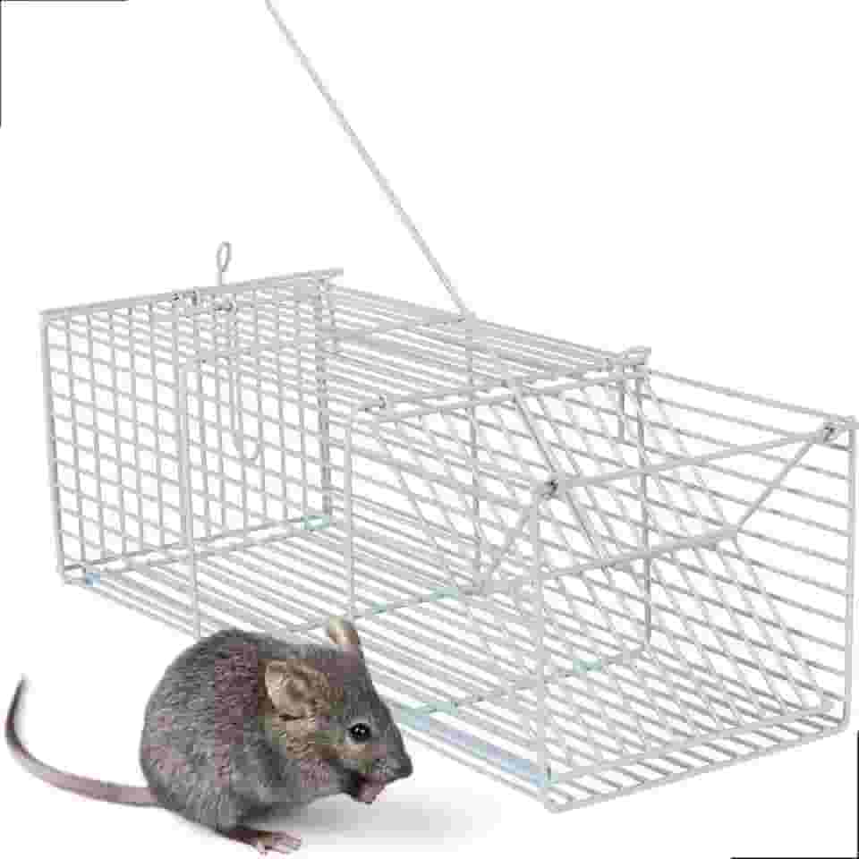 Ratoeira Para Ratos Gaiola Roedores 1 Unidade Cor Branca Jel Plast Pet Roe