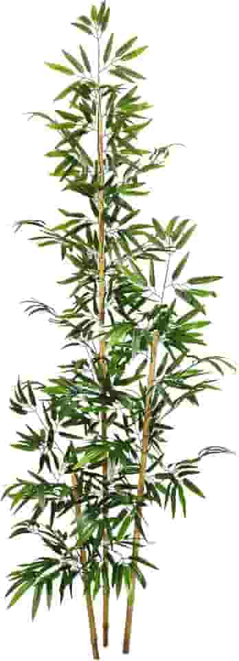 Planta Bambu Artificial 2 Metros Sem Vaso Decoração para Sala