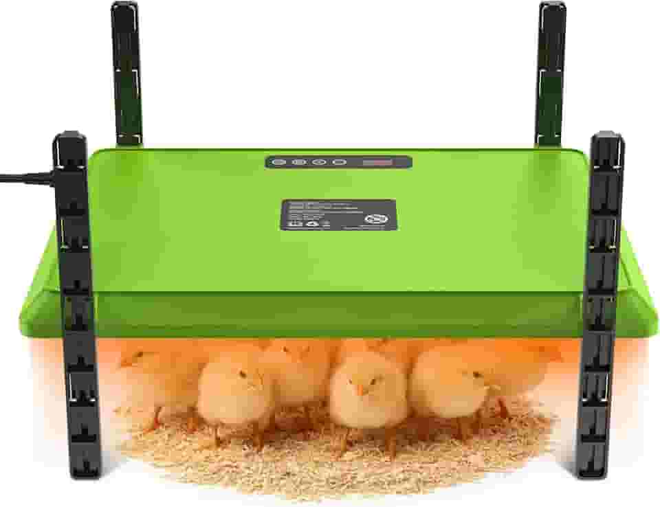 Chocadeira de segurança para pintinhos ou patinhos