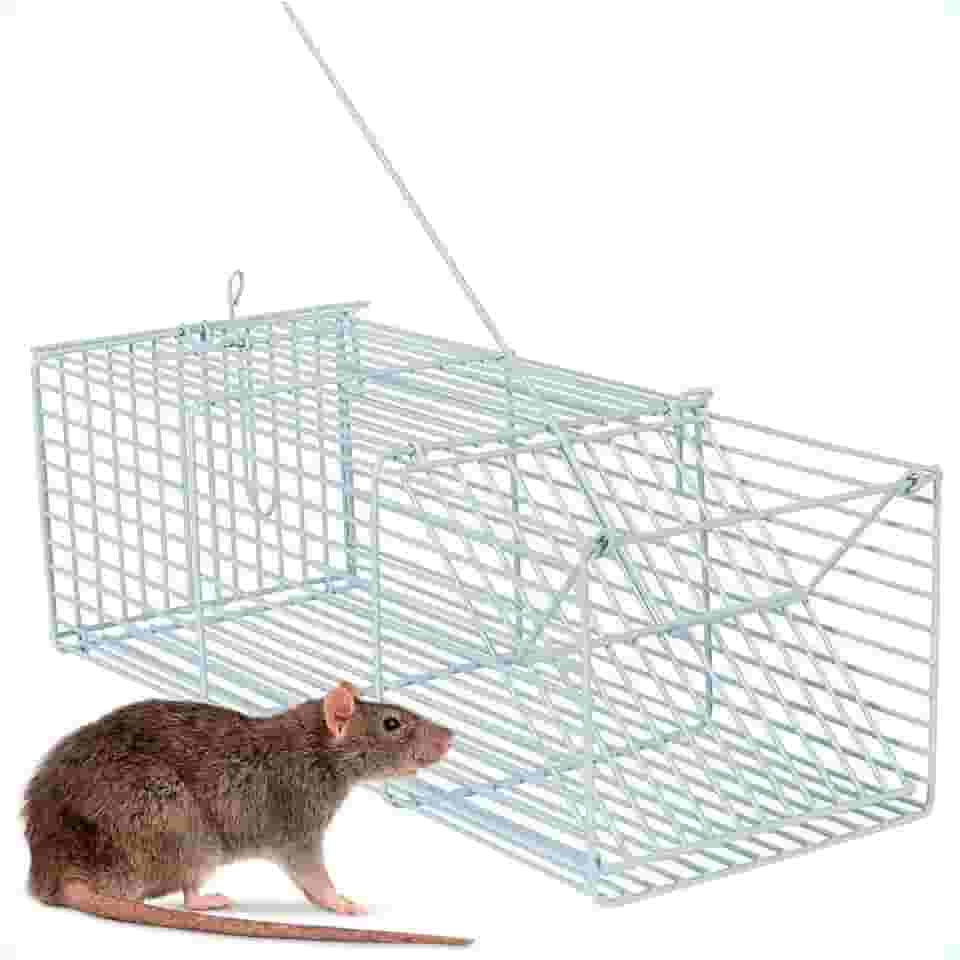 ARMADILHA RATOEIRA ARAMADA PARA CAPTURAR RATOS ROEDORES E CAMUNDONGOS