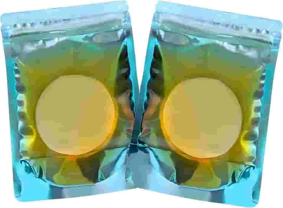 Kombucha Scoby Probióticos Premium 8CM - Kit 2 Unidades