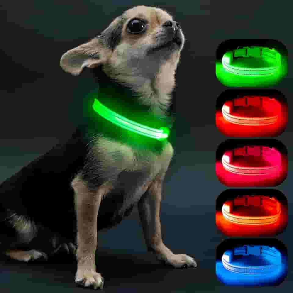 Visinite Coleiras iluminadas para cães pequenos, coleira de cachorro com LED recarregável, coleira de cachorro totalmente ajustável, coleiras para cães que brilham no escuro com luzes de cachorro para caminhadas noturnas, verde