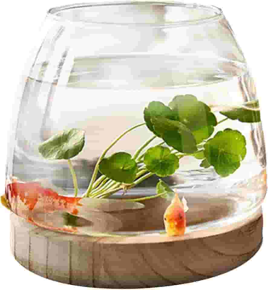 Aquário de vidro com base de madeira - aquário transparente para peixe betta/peixe-dourado, vaso hidropônico, tanque de mesa, terrário Art Deco para decoração de casa