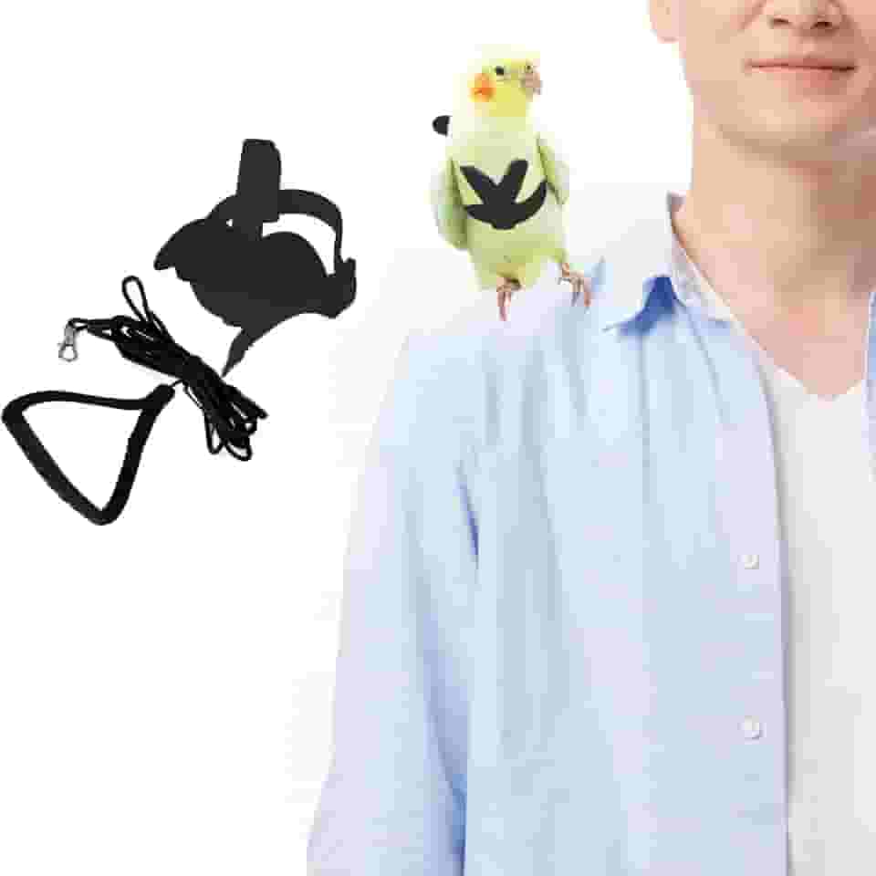 Trelas e arreios ajustáveis para pássaros, arnês de nylon para pássaros com asa fofa para papagaios, acessórios para pássaros de estimação, coleira para pássaros, adequado para calopsita, quaker,