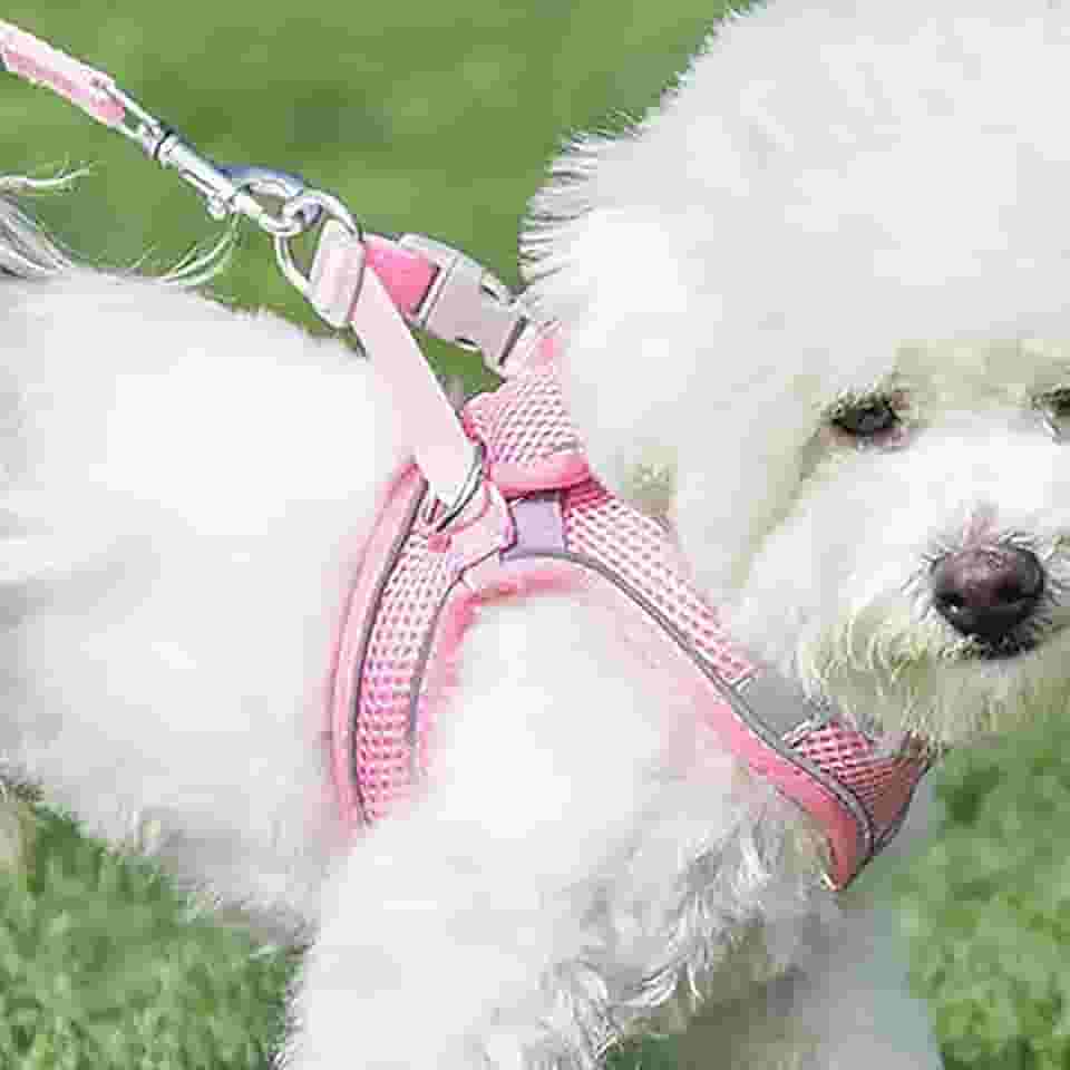 Conjunto de coleira e coleira para cães, sem puxão, de malha macia, colete refletivo ajustável para cachorros/gatos