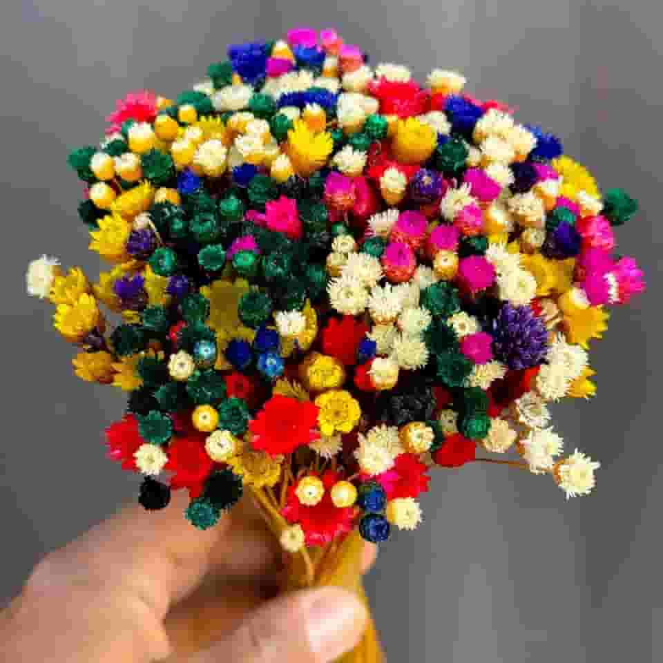 Buquê Rústico Mix de Flores Secas Sempre-Vivas, Arranjo Natural Decorativo (MIX COLOR 2)
