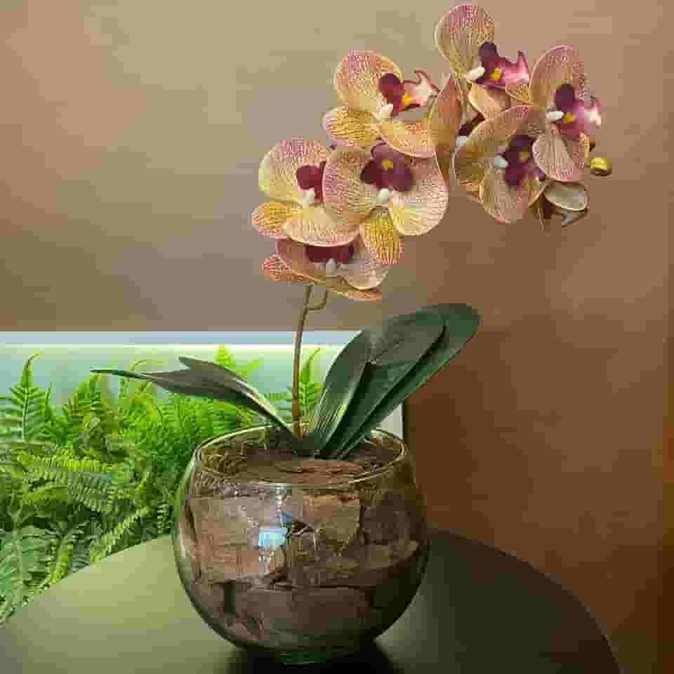 Arranjo de Orquídea Rosa Tigre Centro de Mesa no Vaso Transparente