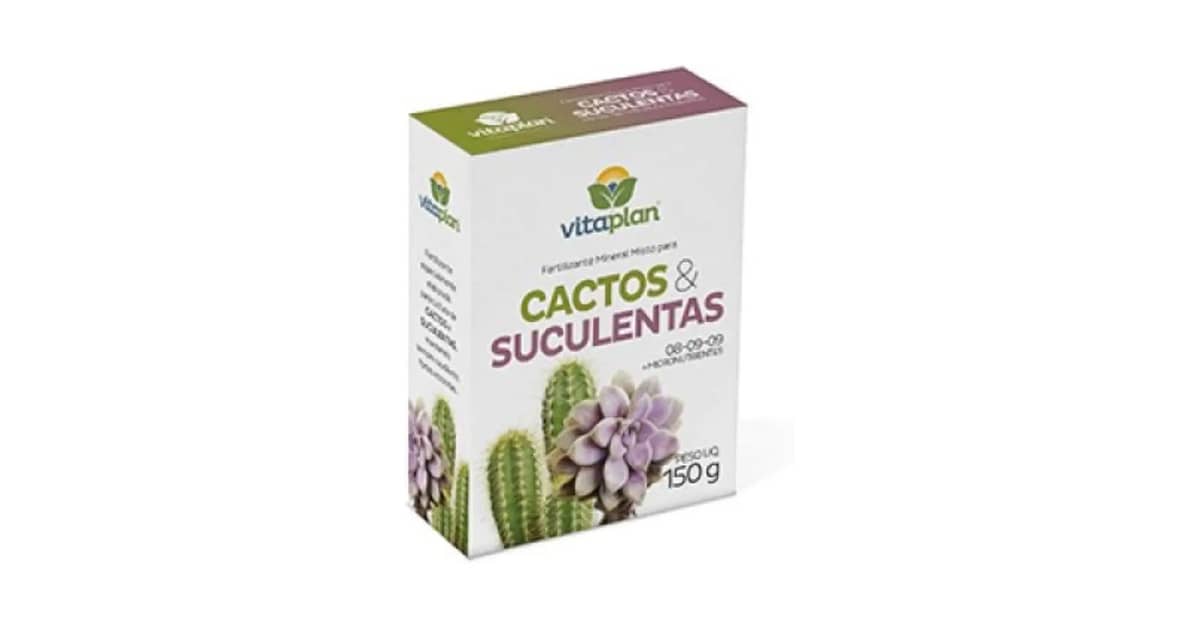Melhor Adubo para Plantas Suculentas: Nutrição Ideal para Crescimento