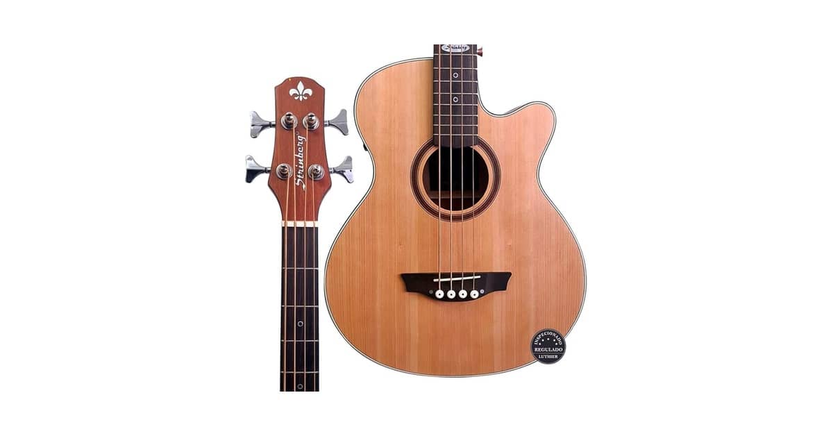 Melhor Baixolão: 5 Opções Para Músicos Exigentes