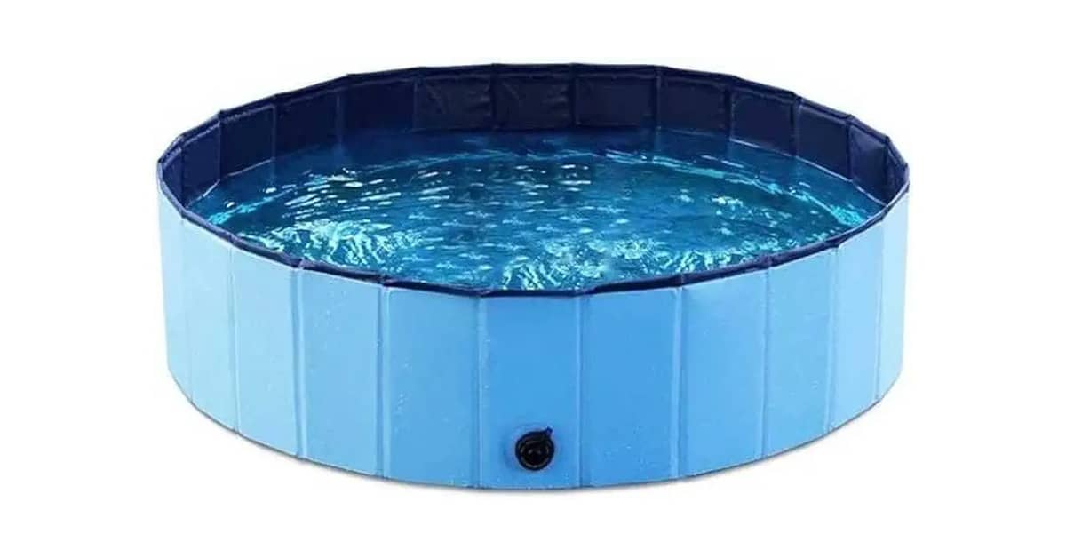 Melhor Banheiro para Cachorro: Guia Completo