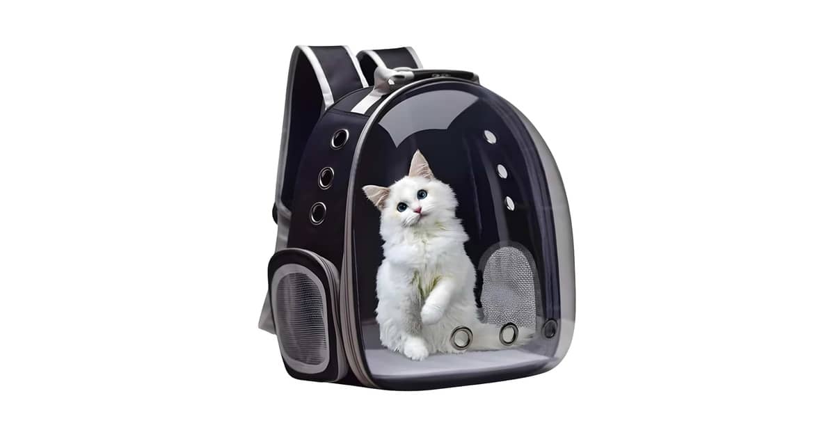 Melhor Bolsa de Transporte para Gato: 10 Modelos Seguros