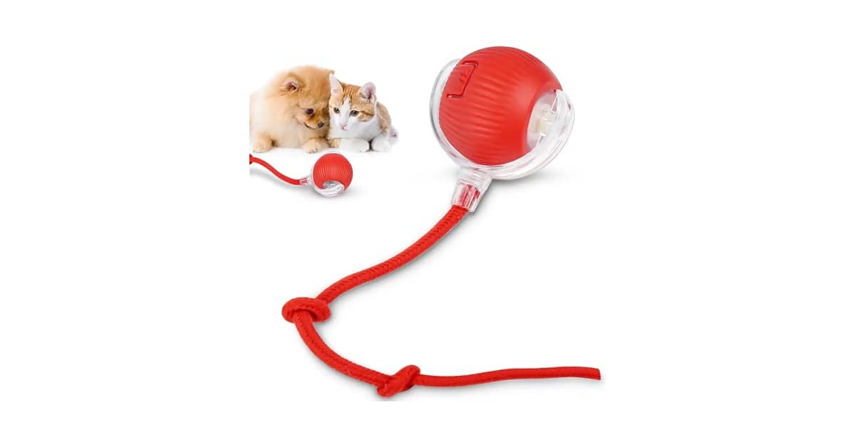 Melhor Brinquedo de Gato: 10 Modelos de Alta Interatividade