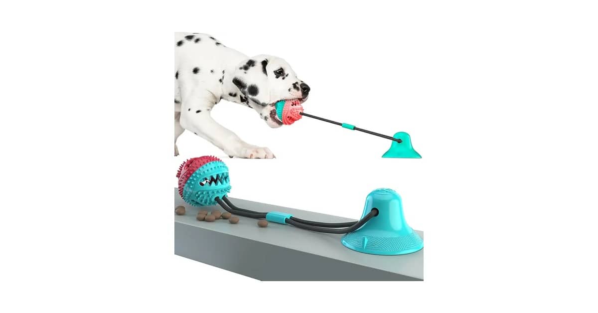 Melhor Brinquedo para Cachorro que Fica Sozinho: 10 Opções