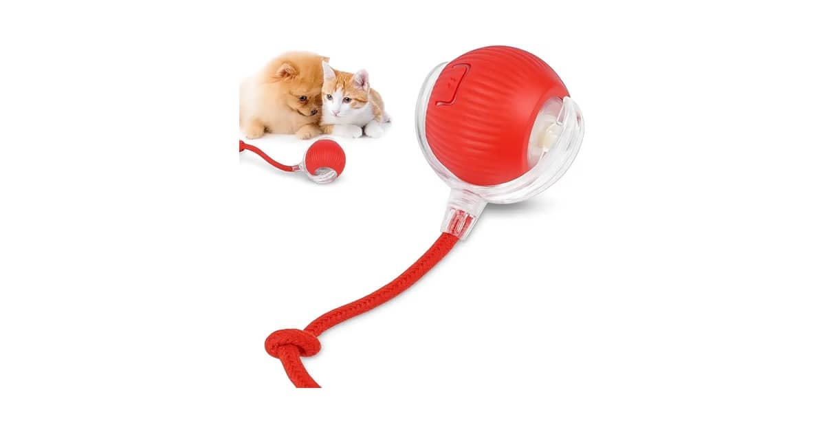 Melhor Brinquedo para Cachorro: 7 Opções Divertidas e Duráveis