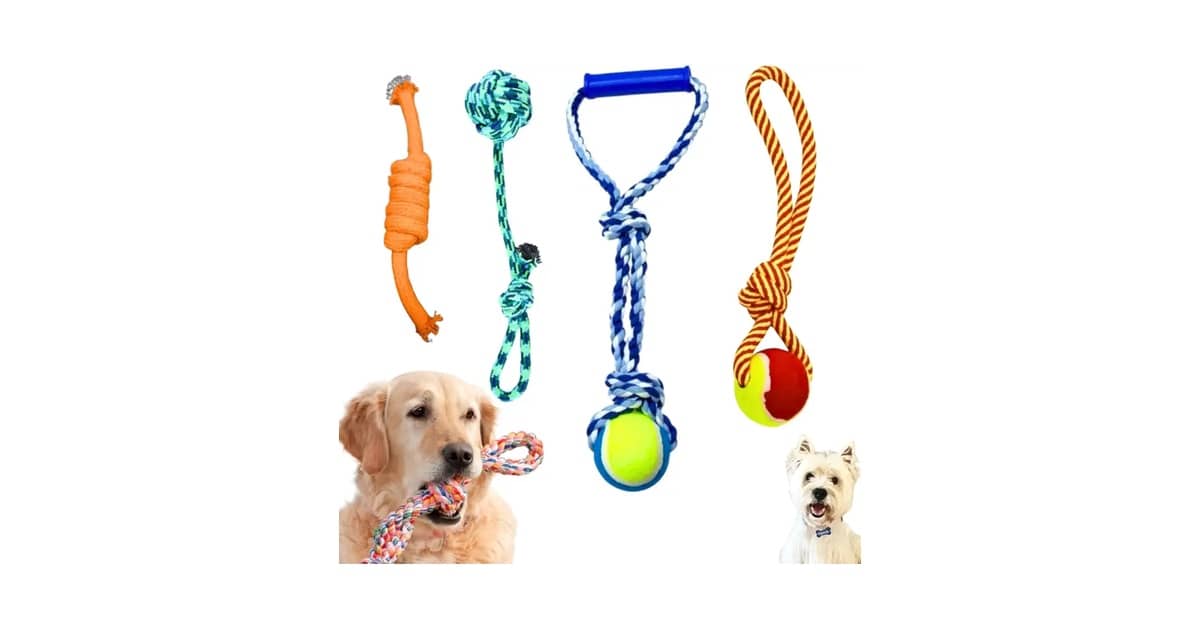 Melhor Brinquedo para Filhote Morder: Guia Essencial