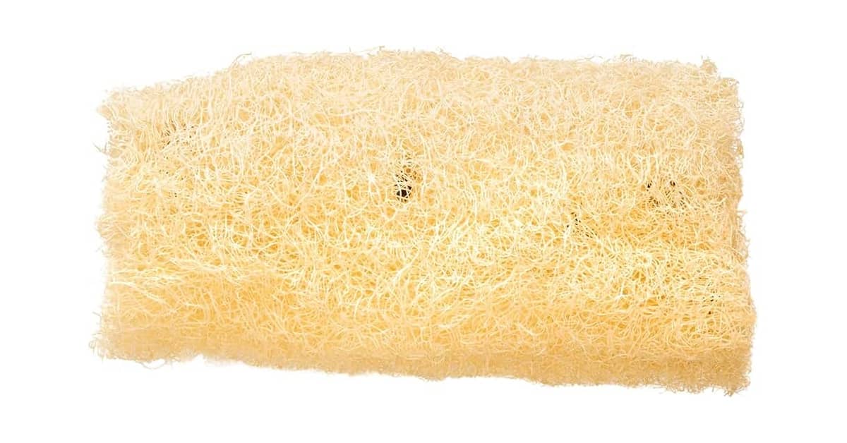 Melhor Bucha para Tomar Banho: Guia Completo de Escolha