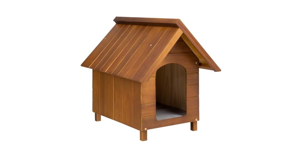 Melhor Cachorro para ter em Casa: Guia de Abrigos Seguros