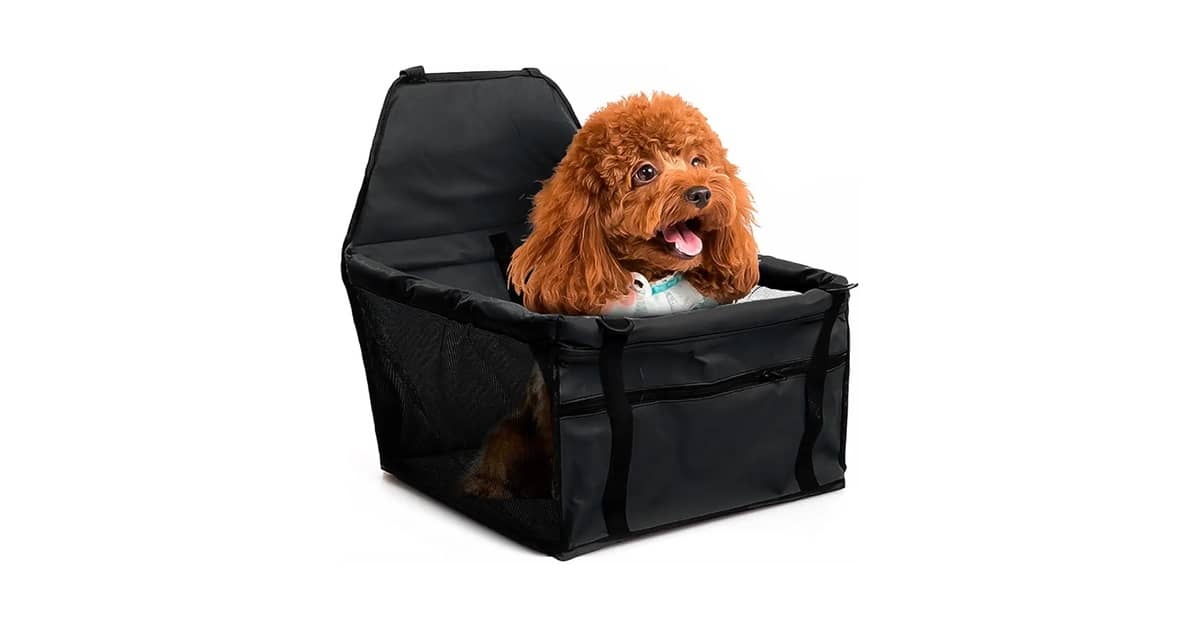 Melhor Cadeirinha para Cachorro: Guia Essencial