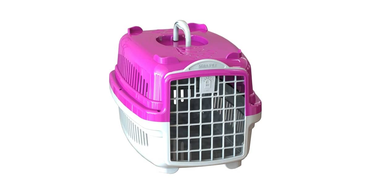 Melhor Caixa de Transporte para Gatos: Segurança e Conforto