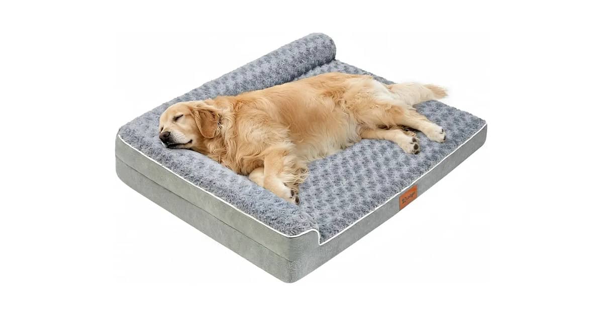 Melhor Cama para Cachorro Idoso: Conforto e Suporte Essenciais