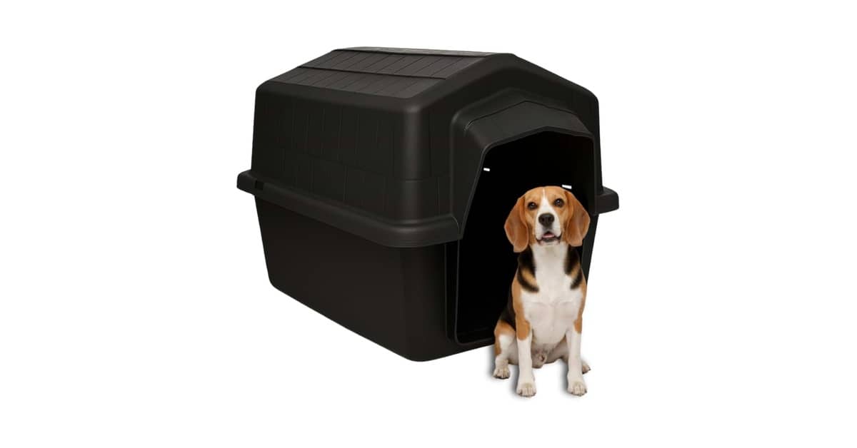 Melhor Casa para Cachorro: Proteção e Conforto Garantidos!