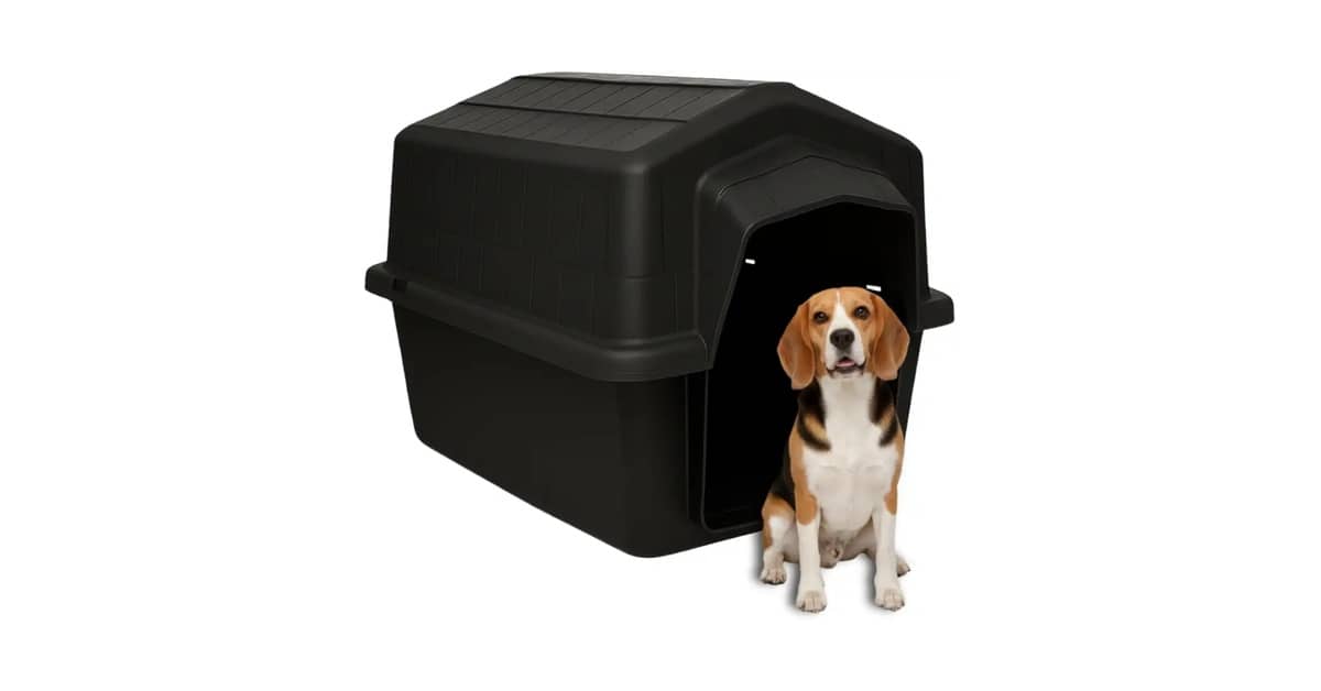 Melhor Casinha para Cachorro: Conforto e Proteção!