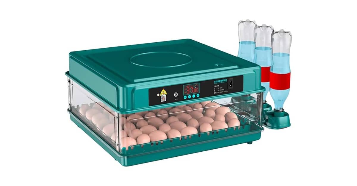 Melhor Chocadeira do Brasil: Guia Completo de Escolha