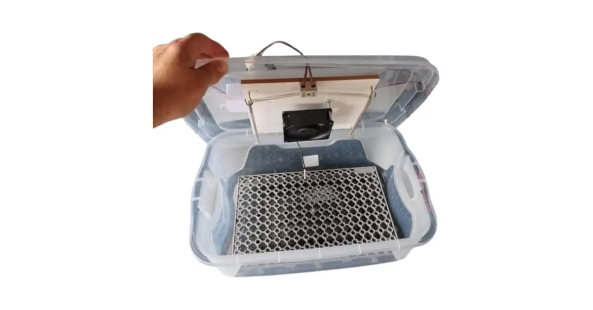 Melhor Chocadeira para Comprar: Guia de Capacidade e Automação