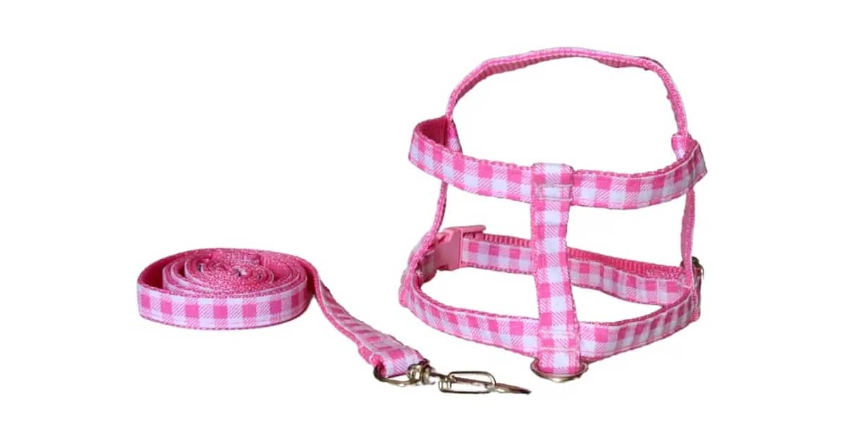 Melhor Coleira para Cachorro Filhote: Segurança e Conforto