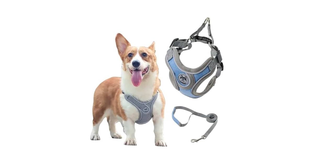 Melhor Coleira para Cachorro que Puxa Muito: Controle Total!