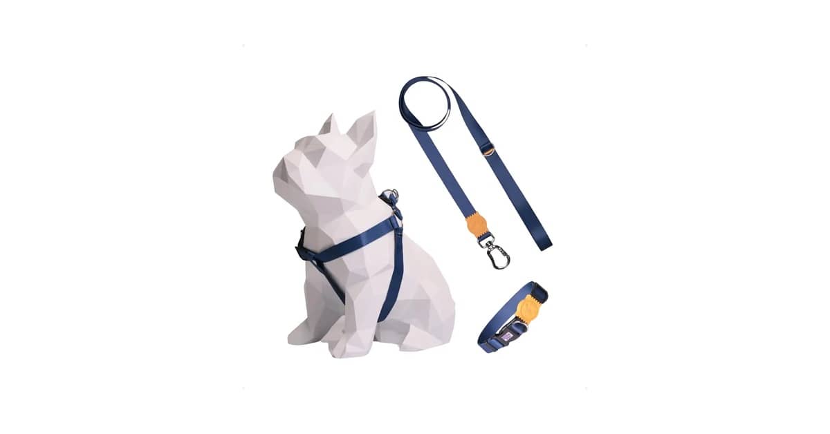 Melhor Coleira para Cachorro Salsicha: Conforto e Segurança Garantidos