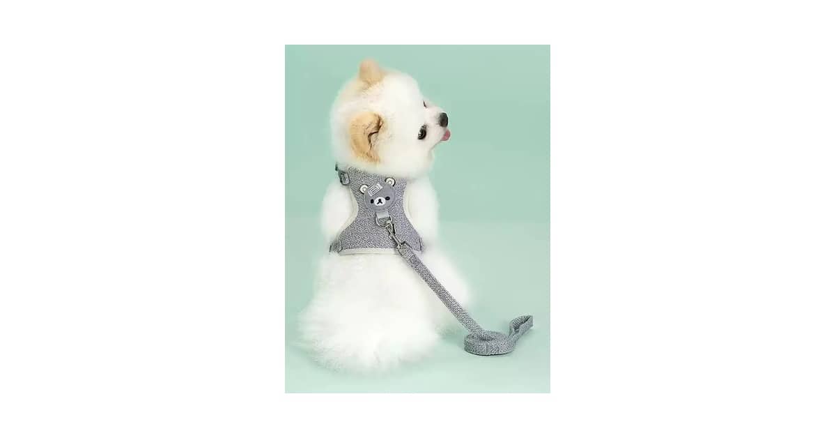 Melhor Coleira para Passear com Gatos: Segurança e Conforto