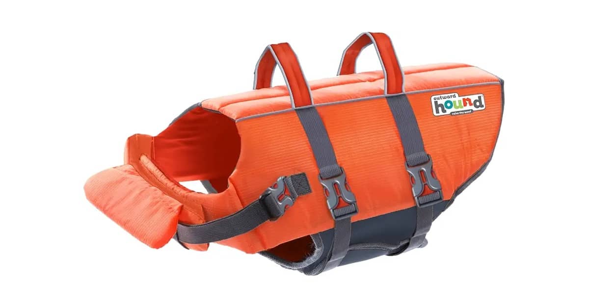 Melhor Colete Salva Vidas para Cachorro: Segurança e Conforto