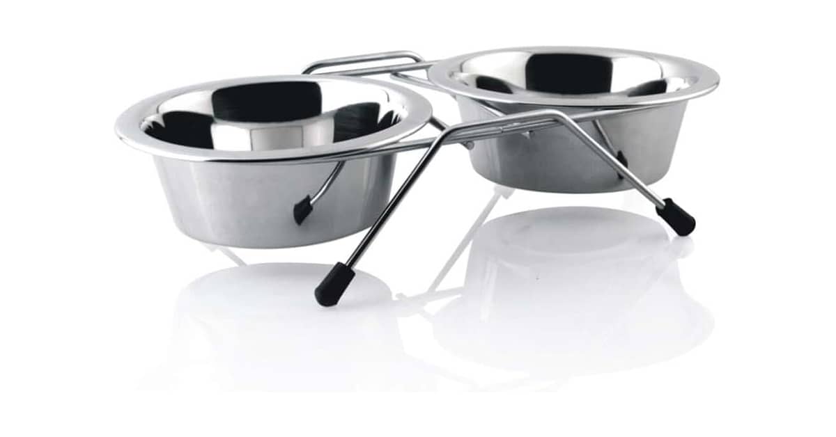 Melhor Comedouro Cachorro: Guia Definitivo para Escolha