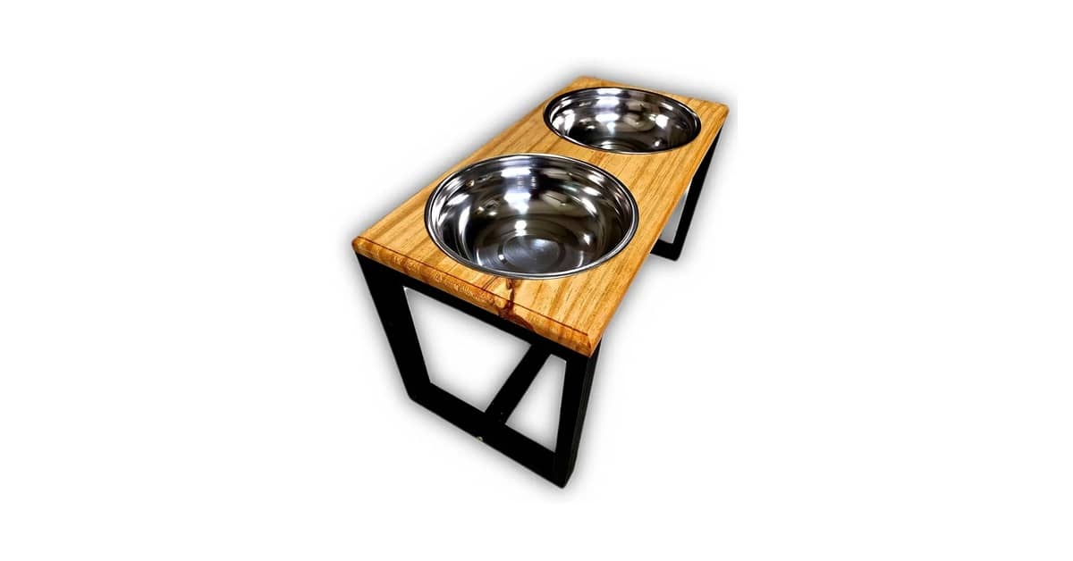 Melhor Comedouro e Bebedouro para Cachorro: Guia Essencial