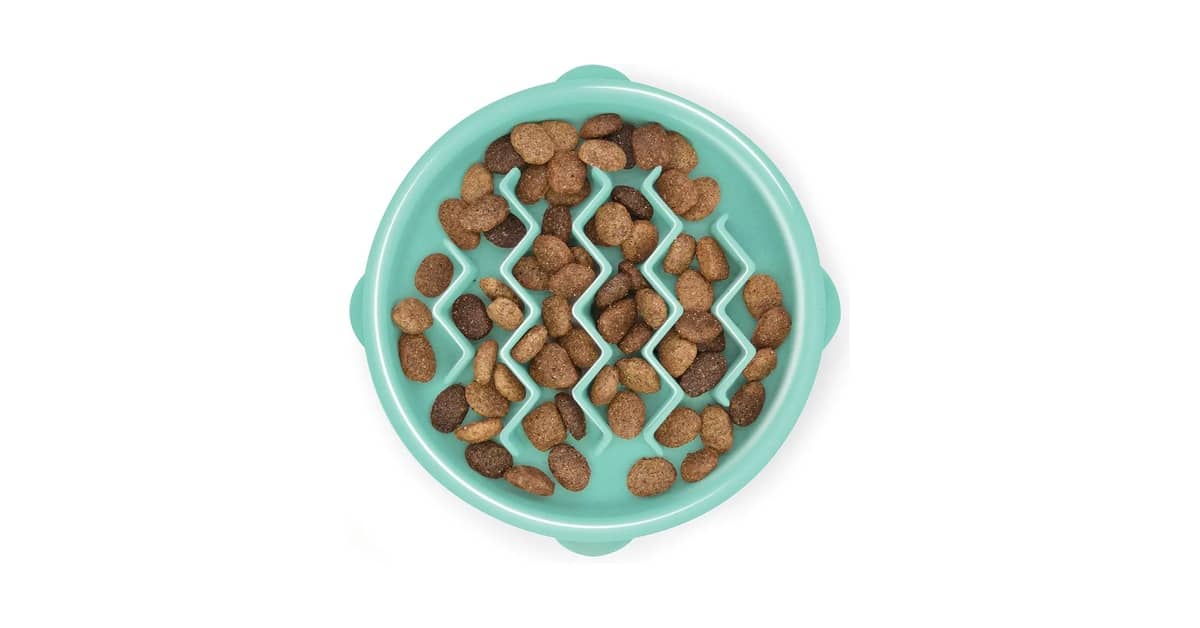 Melhor Comedouro Lento: Escolha Ideal Para Seu Pet