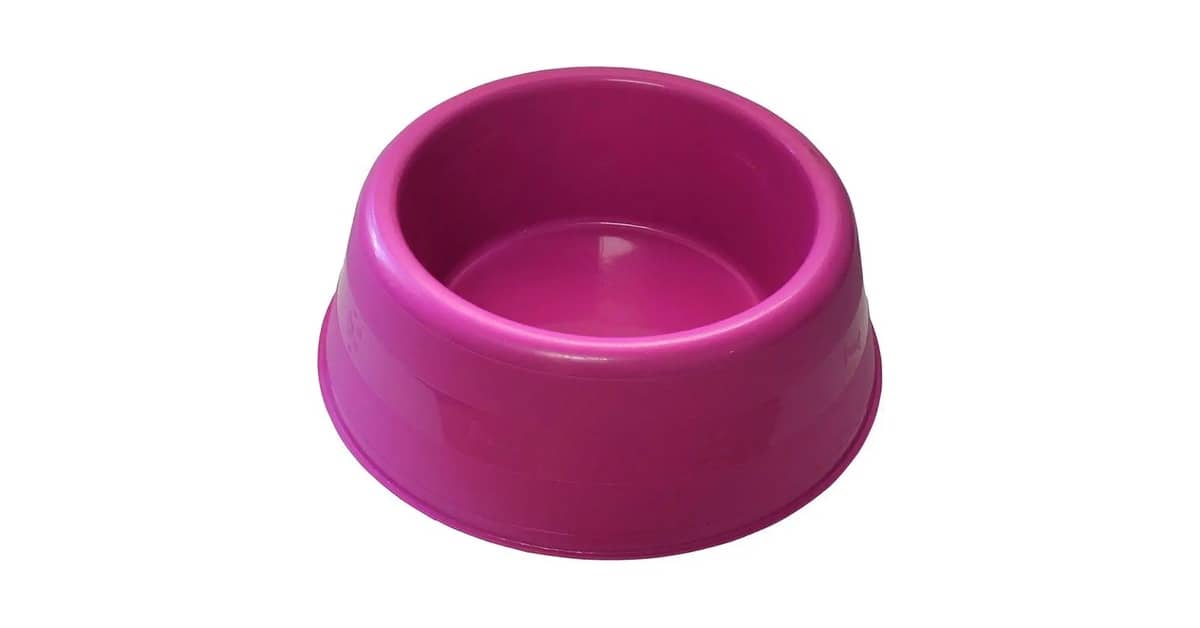 Melhor Comedouro para Pug: Escolha Ideal para a Saúde
