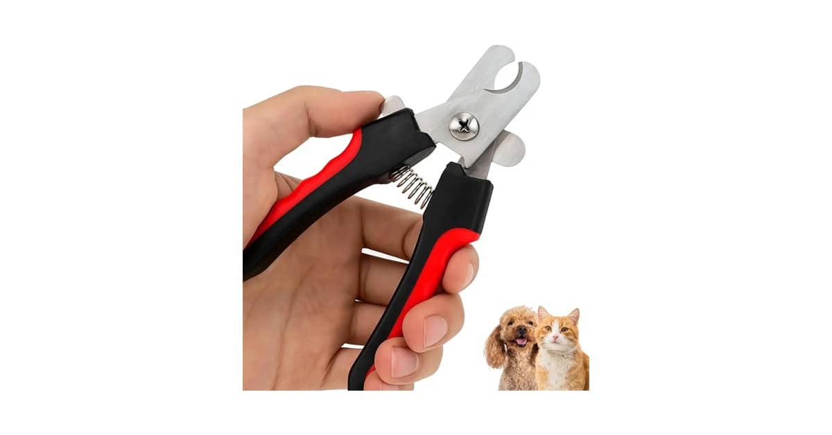 Melhor Cortador de Unha para Gatos: Guia Completo e Seguro