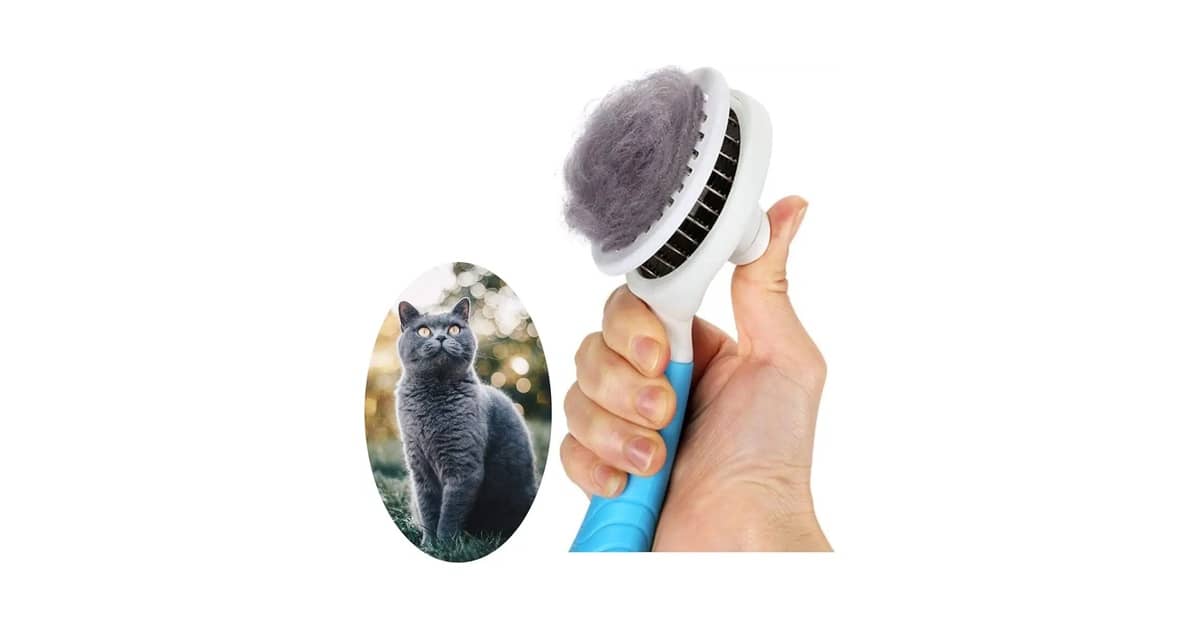 Melhor Escova para Gato: 10 Modelos para Pelagem