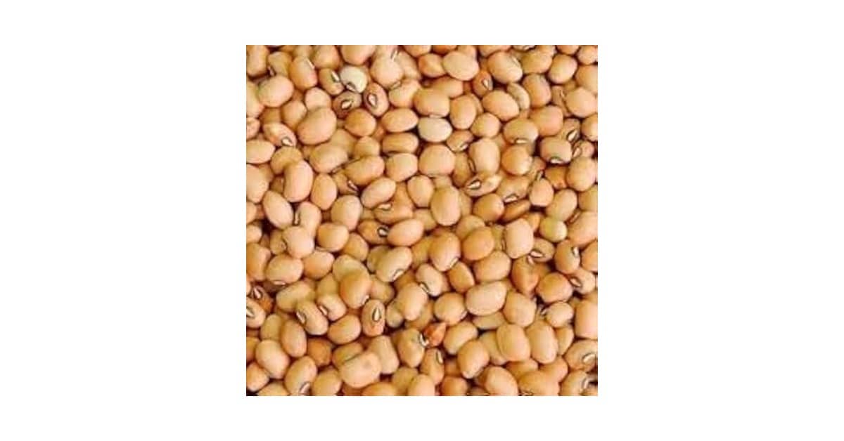 Melhor Feijão Tropeiro: Qual Grão Utilizar?