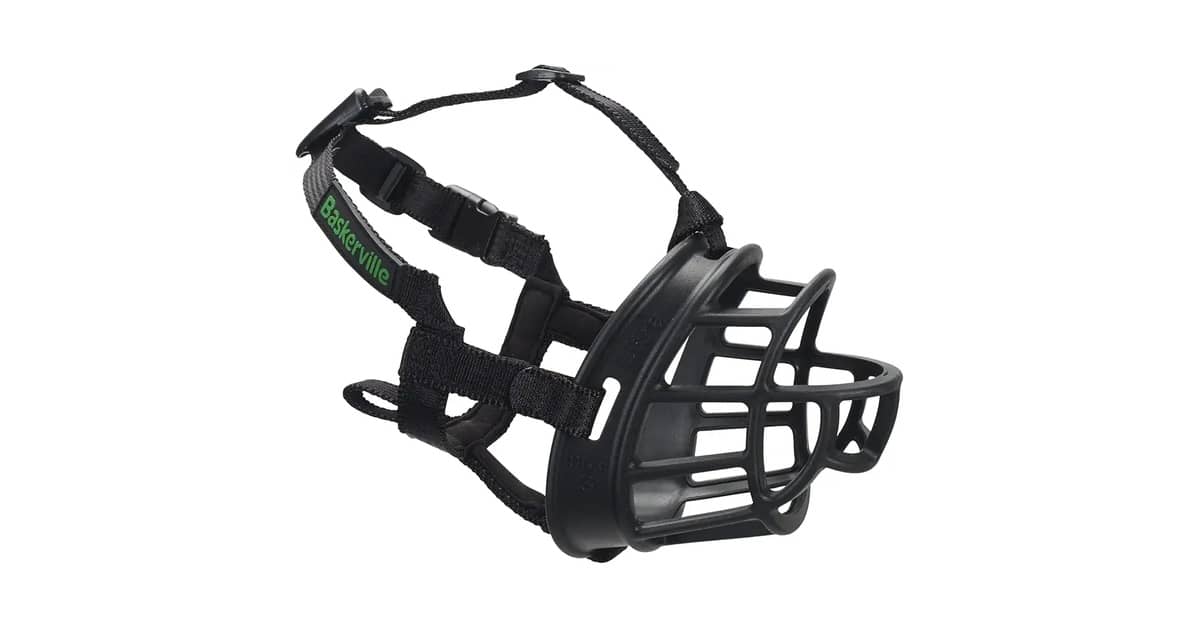 Melhor Focinheira para Pastor Alemão: Guia de Segurança e Conforto