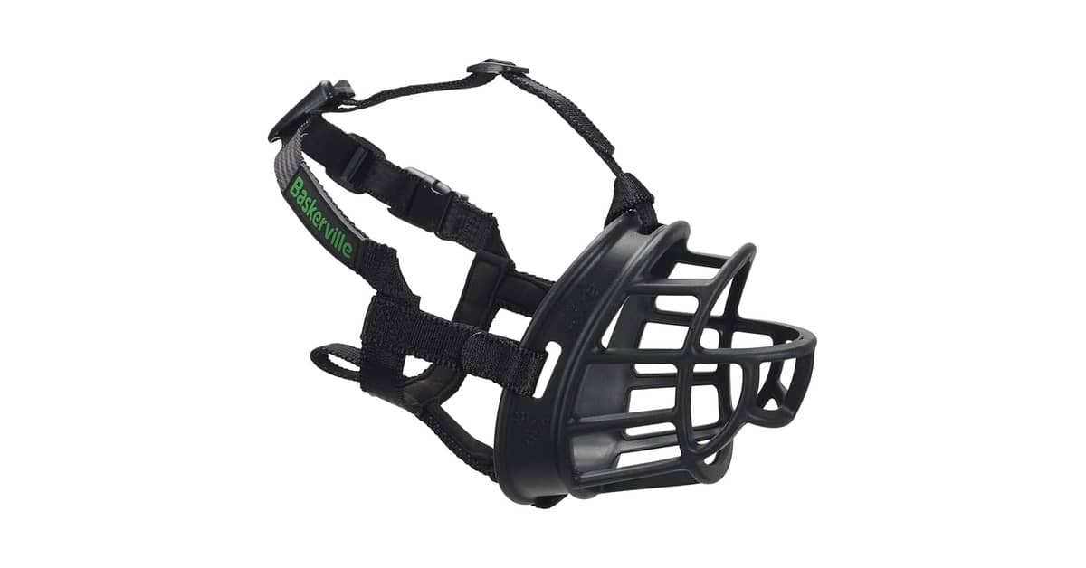 Melhor Focinheira: Conforto e Segurança para Seu Cão