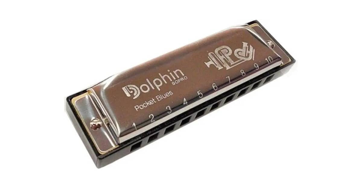 Melhor Gaita Custo Benefício: Guia Essencial Para Músicos