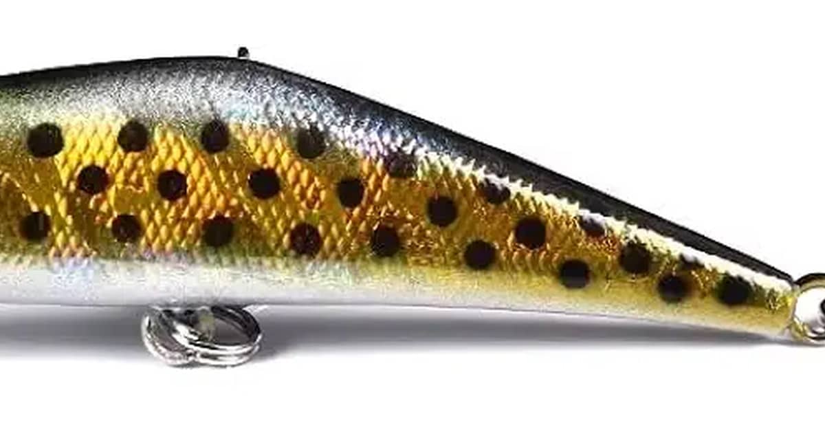 Melhor Isca Artificial para Traíra: Guia Definitivo para Pesca