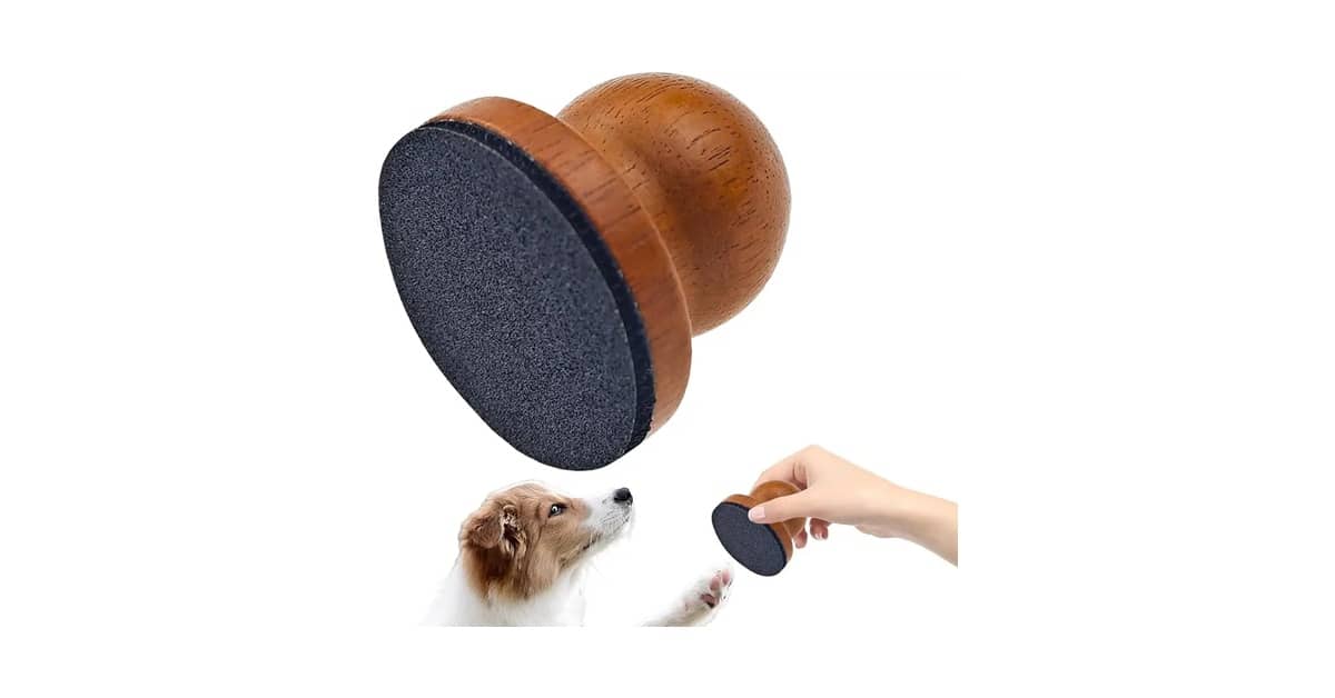 Melhor Lixa de Unha para Cachorro: Guia Essencial!